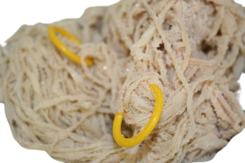 SCHAFSDÄRME 24-26 - 100JRD