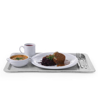 GN 1/2 Polyesterwanne