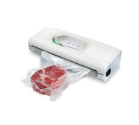 Fresh Budget Line Kunststoff-Vakuum-Verpackungsmaschine - Lattenrost, 310 mm