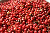 ROTE PFEFFERSAMEN 50 G