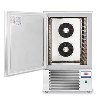 Gebläsekühler 10XGN 1/1