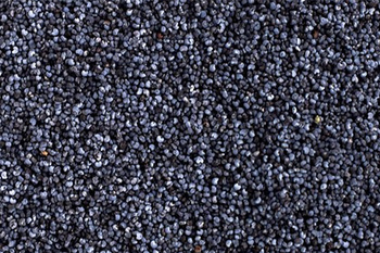 BLAUER MOHN 500G
