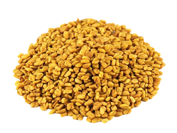ZUCKERSAATEN 0,5 kg