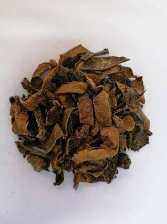 WALDPILZMISCHUNG 500G