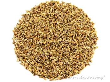 Anyż ziarno 100g