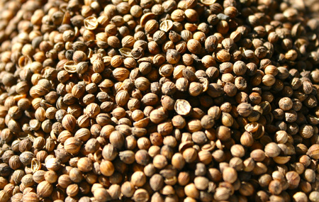 KORIANDERSAMEN 50 G