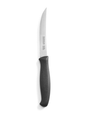 Tomatenmesser - 210 mm