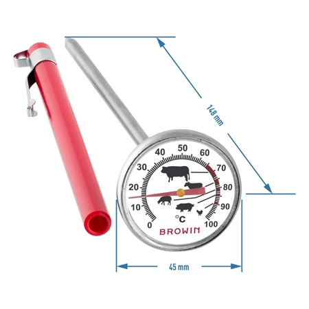 Thermometer mit Fühler