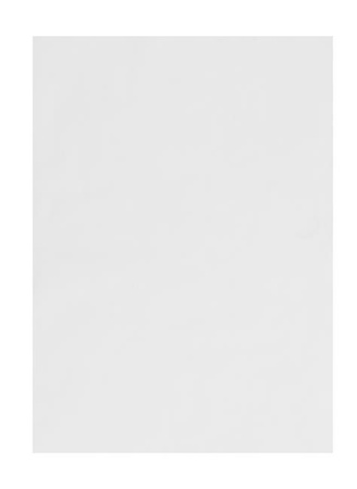 Papier pergaminowy (500 arkuszy), neutralny, 263x380
