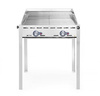 Grill " Green Fire" Profi Line 2 - palnikowy 149621