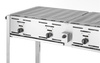 Gasgrill - Master Quattro
