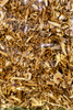 ECHINACEA-RHIZOM 50G