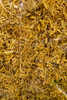 SÜSSHOLZWURZEL 100G