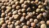 PIMENT PETM - 130G