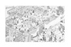 Pergamentpapier (500 Blatt), bedruckt, 258x425