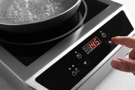Induktionsherd Profi Line 3500 D