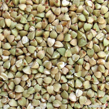 Kasza gryczana nieprażona 5 kg (Piątnica)